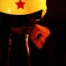 Cascadeur